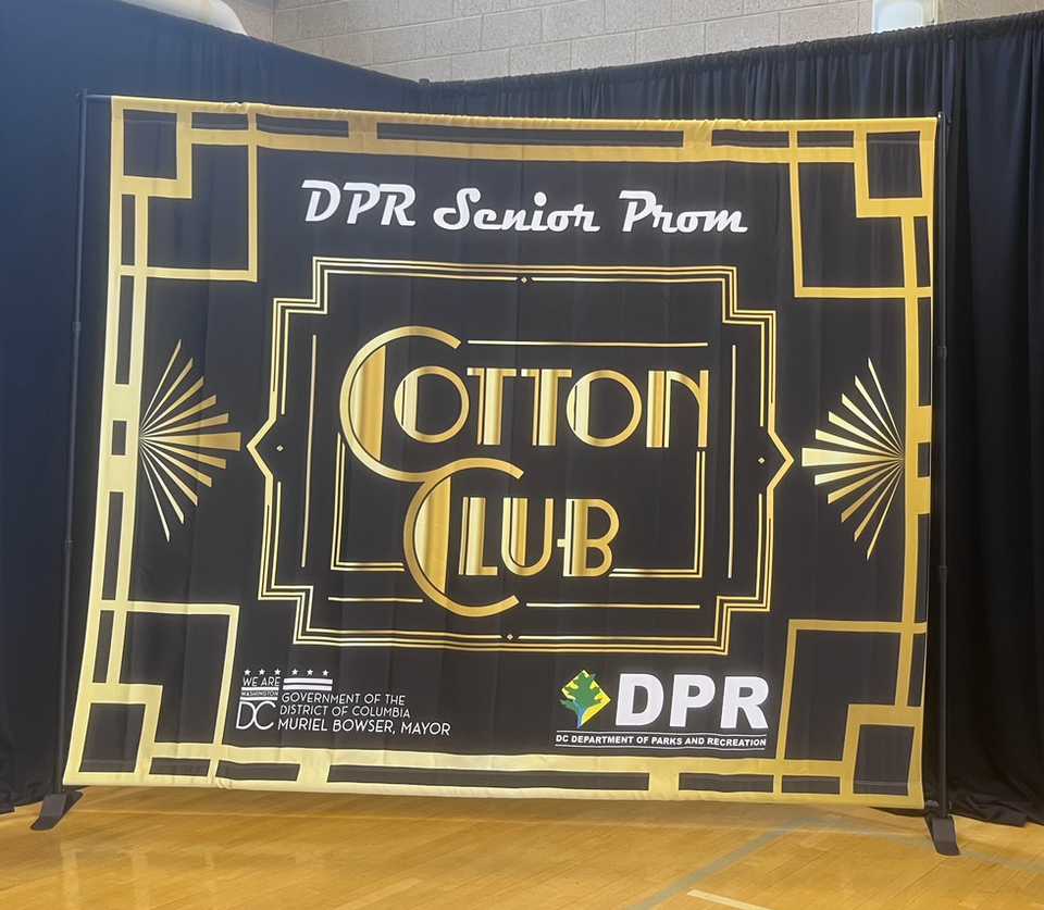 Custom step and repeat backdrop printed in Washington DC