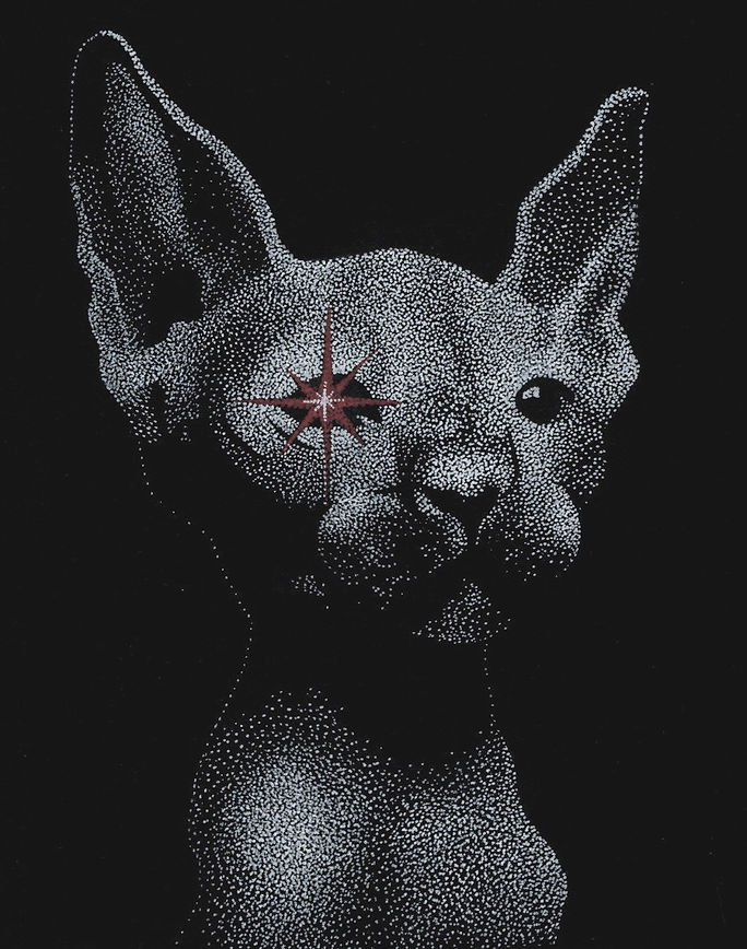 cat_edited.jpg