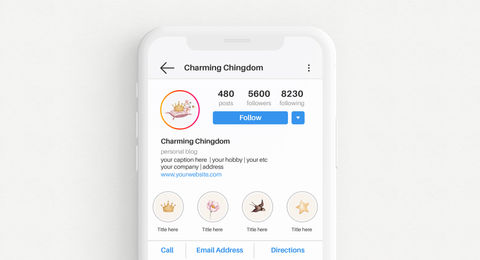 Mobile phone displaying Charming Chingdom Instagram profile with crown logo, follower count, and brand-consistent social media layout.