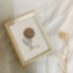 פרינט ממוסגר איור קקטוס