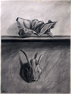 Crumpled Paper and Skull