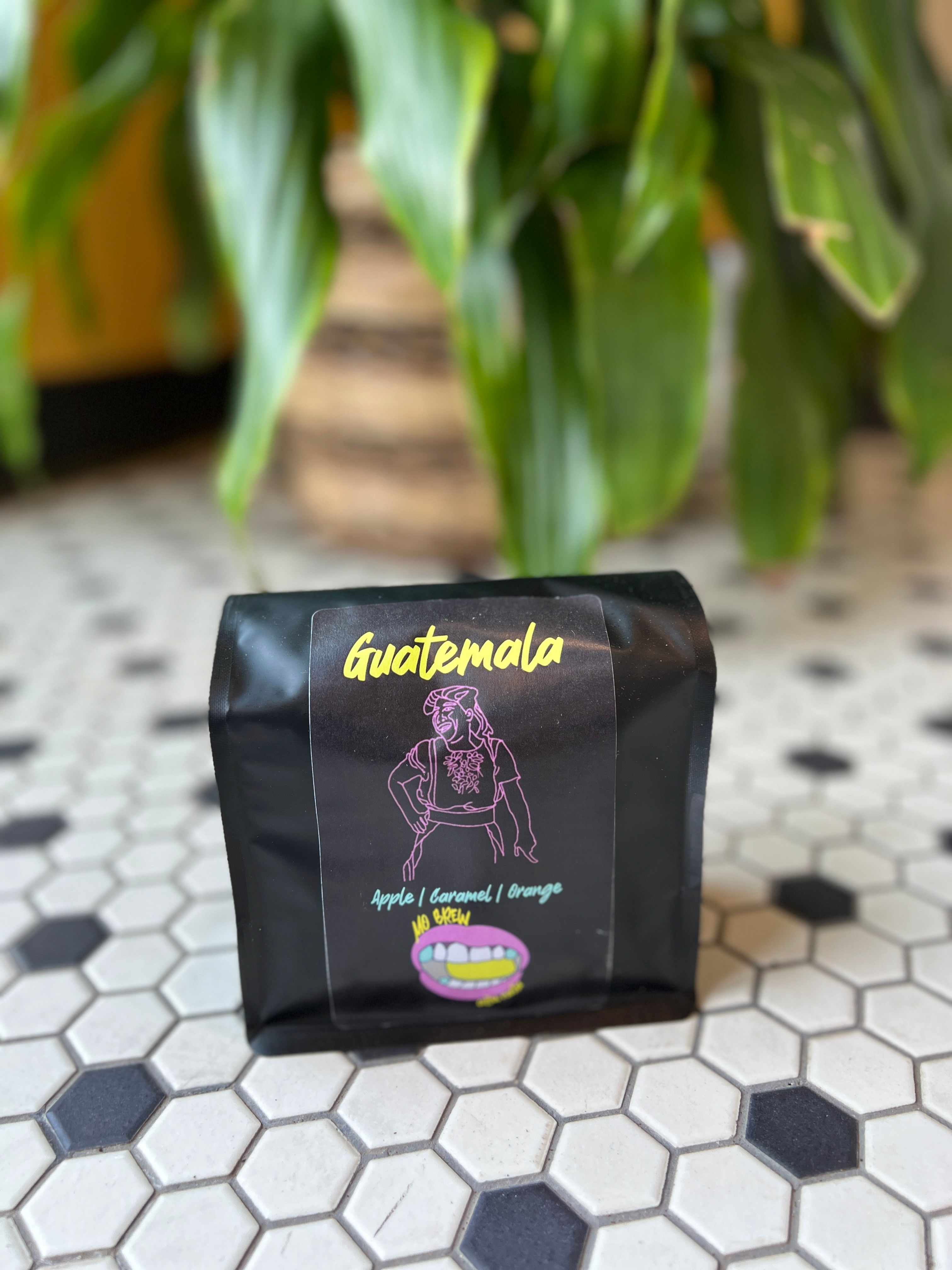 Guatemala SHB Huehuetenango ASOBAGRI