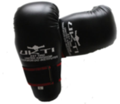 UKTI Active TKD Hand Pads