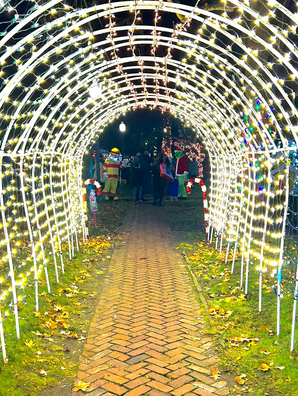 Light tunnel entrance