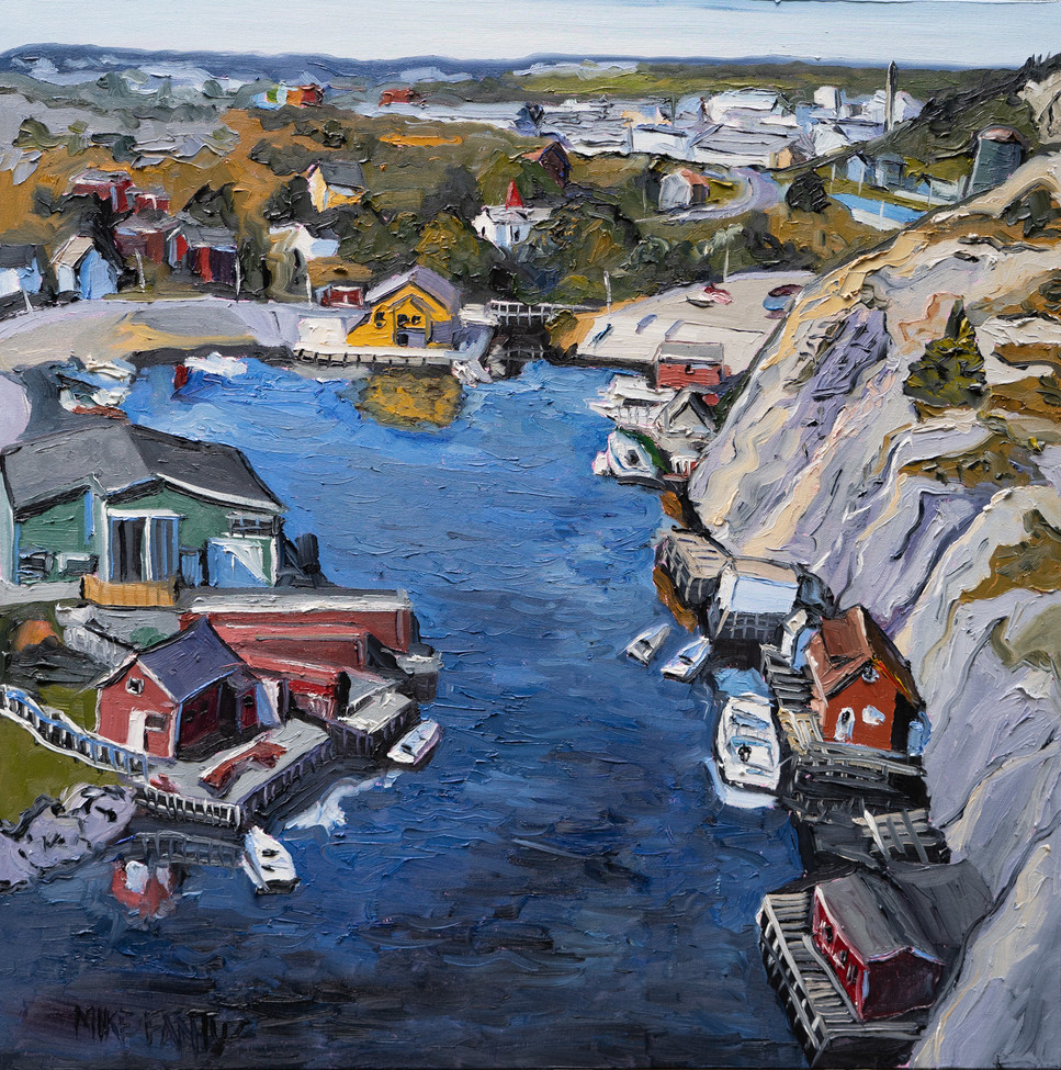 From Above Quidi Vidi