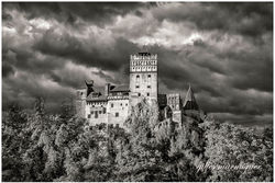 Chateau de Dracula