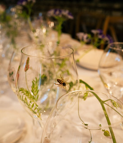 Soirée du 6 septembre Pierre-Jouet (23).jpg