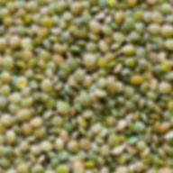 Organic Green Lentils