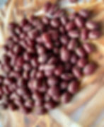 Adzuki Beans