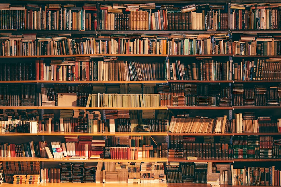 Полки библиотеки, заполненные книгами