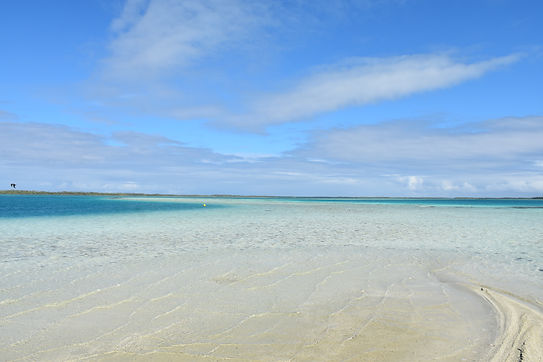 DSC_0185.JPG