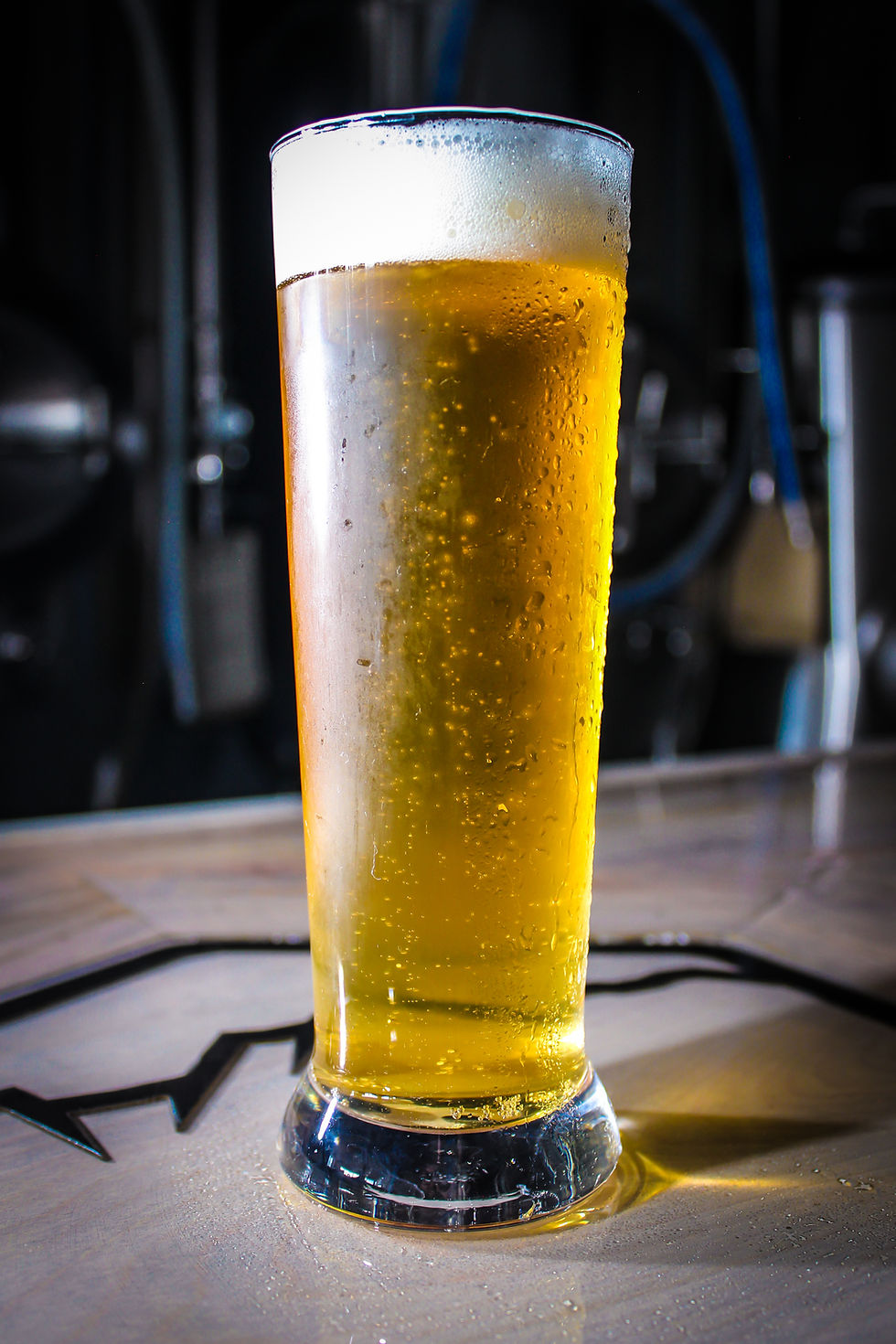 Golden Boy (German Inspired Lager)