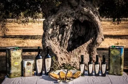 olio-tradizionale.webp