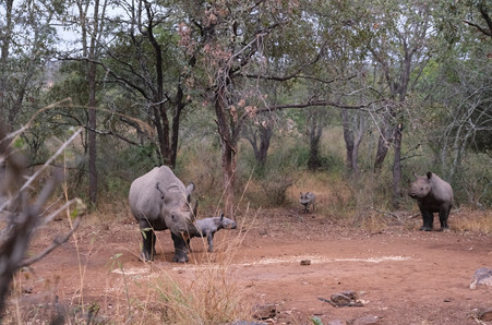 Wedza, Zimbabwe
