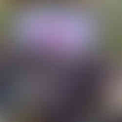 1º Encontro de Pintoras do Paraná: O evento que uniu mulheres do Brasil em torno do amor pela pintura.