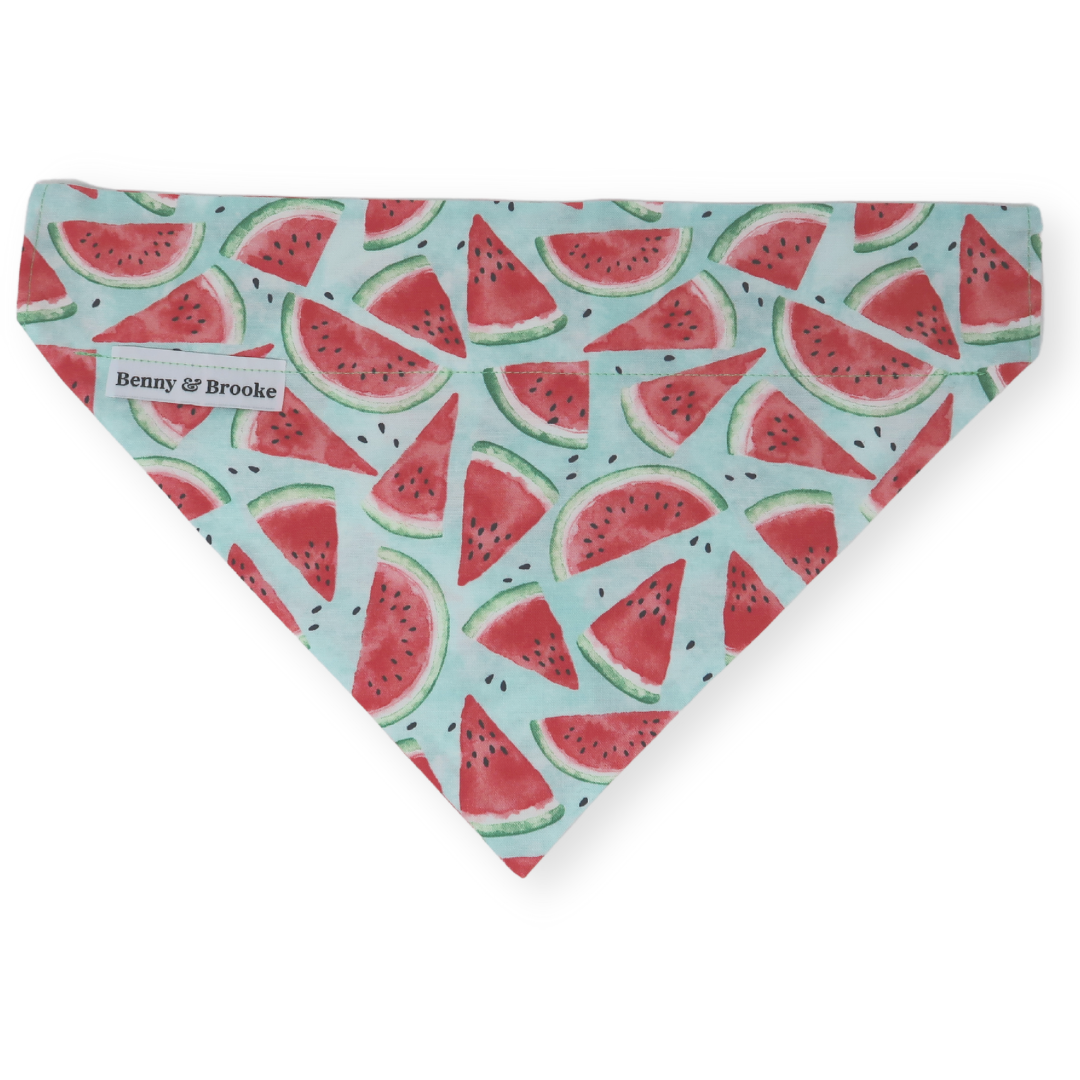 Watermelon Sugar