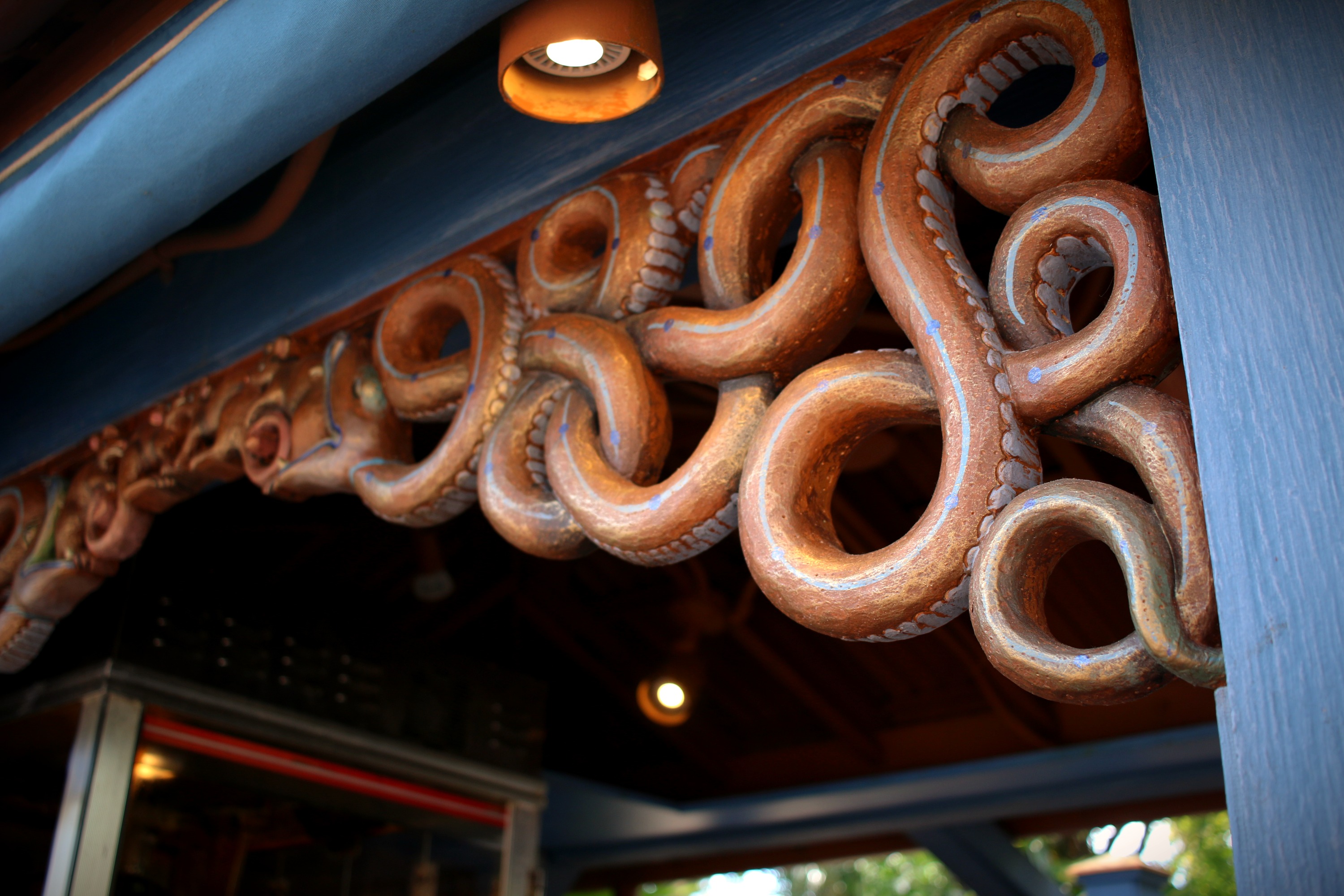 Disney's Animal Kingdom