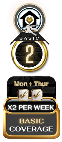 basic-home-watch-red-deer-2x-per-week