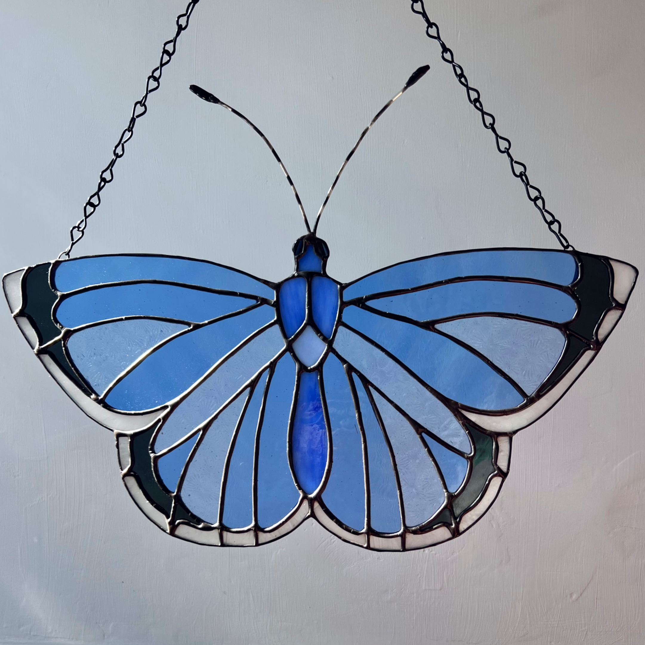 Holly Blue Butterfly in stained glass