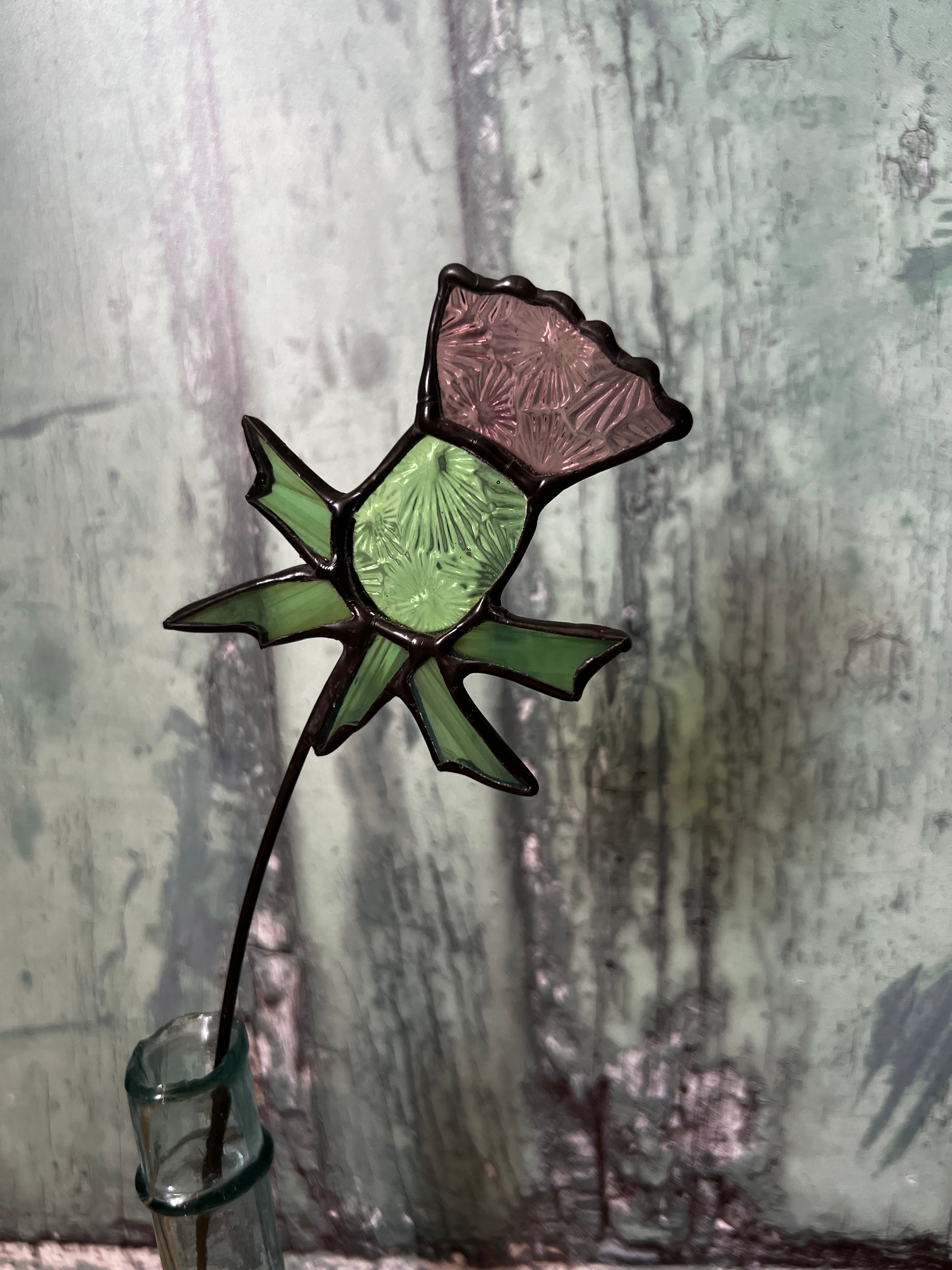 Glass Thistle for evergreen bouquet