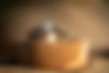 _MWL1017 copy.jpg