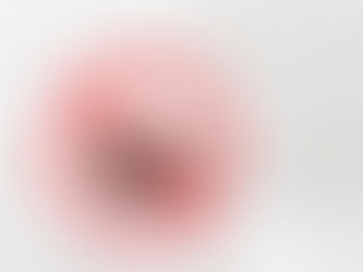 How to Pest-Proof Your Home: A Room-by-Room Guide