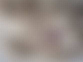 How to Prevent German Cockroaches: Understanding Their Habits and Eliminating Their Environment