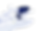 chameleon.png