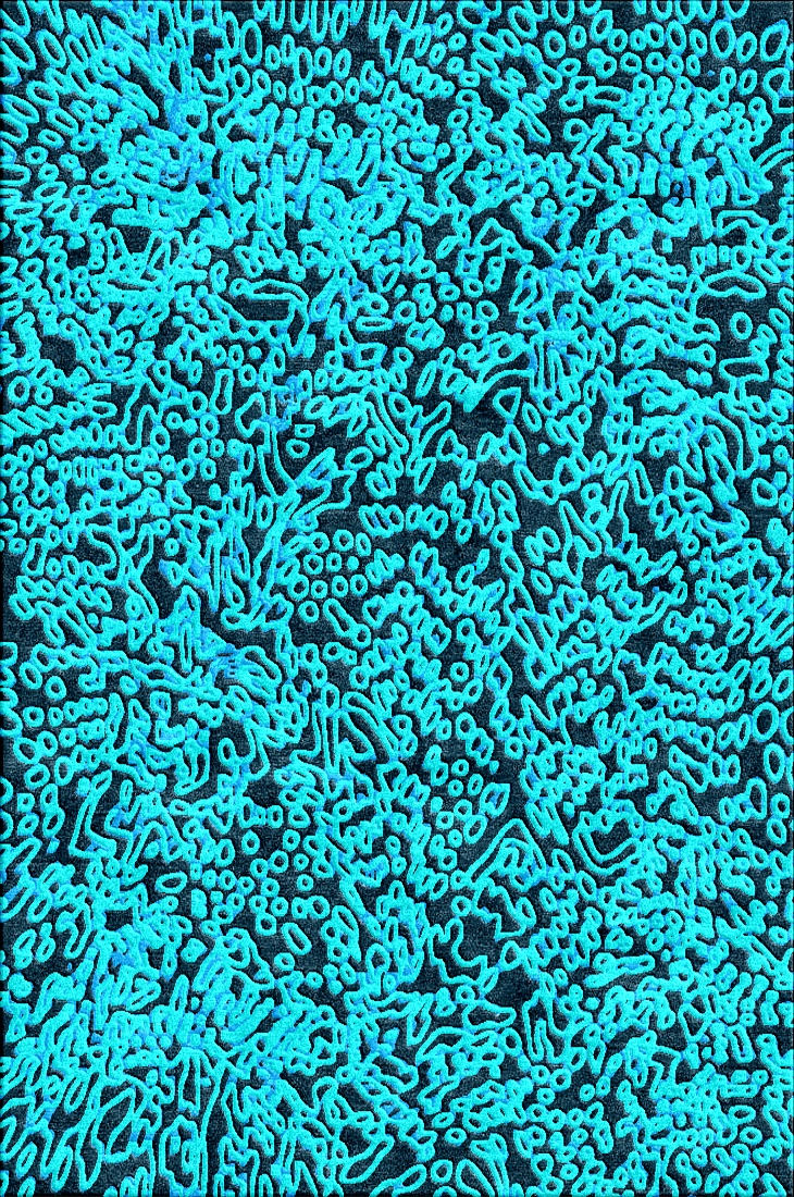 Ribbon Blue Black