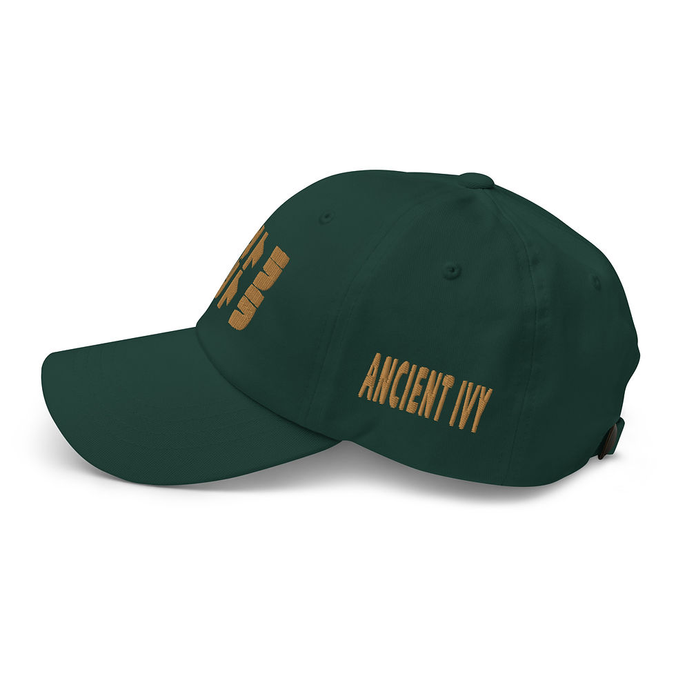 Thumbnail: Ametra-Britra Green Dad Hat 