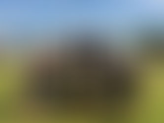 Last one, Fast one! The final meet of the year!