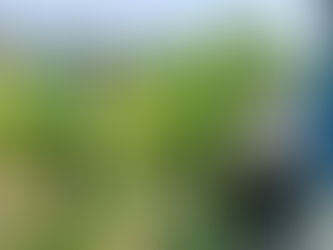 30.07.2021 视察老街区卫生情况