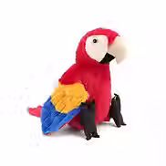 Papagei_rot.avif
