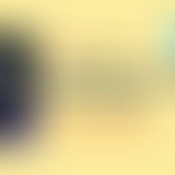 IELTS Listening Cambridge 17 Test 2