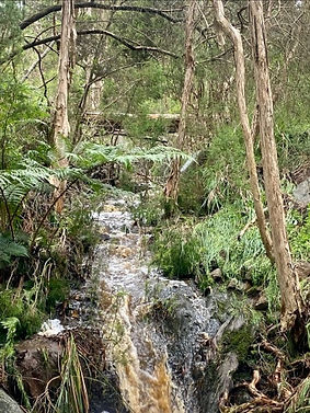 Creek flowing.jpeg