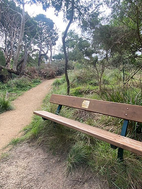 Park bench.jpg