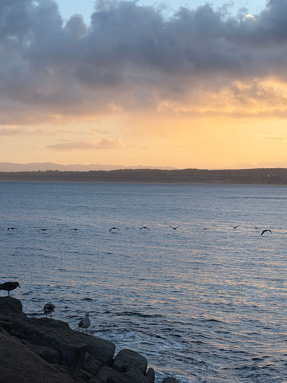 If I Met an ICE Agent