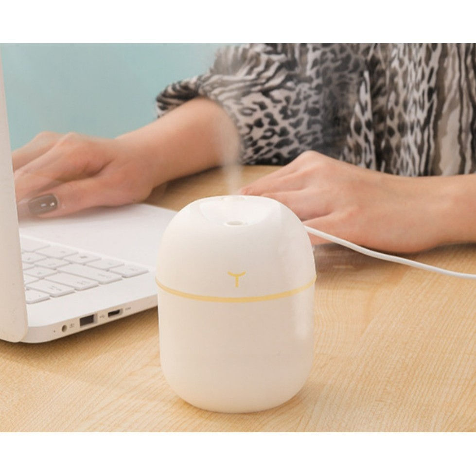 Mini Umidificador Difusor Aromatizador Egg Portátil USB LED