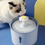 Miniatura: Bebedouro Fonte de Água Pet Elétrico Dispenser C/ Filtro Silencioso LED 2,4L