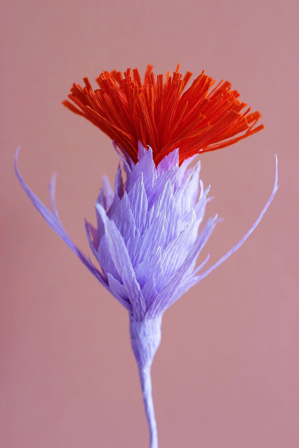 Miniature : Chardon mauve et orange fleur en papier Célestine Morel Paris 20