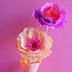 Atelier pour apprendre à faire une cloche avec des fleurs séchées_Célestine morel_ Boutique_345 rue des Pyrénées 75020 Paris