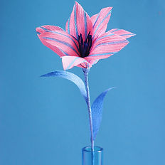 Atelier pour apprendre à faire une fleur avec du papier crépon_Célestine morel_ Boutique_345 rue des Pyrénées 75020 Paris