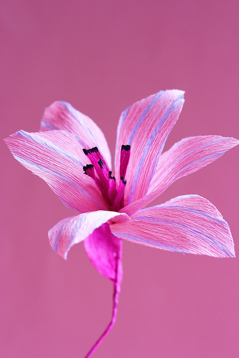 Miniature : Lys coloré fleur en papier Célestine Morel Paris 20