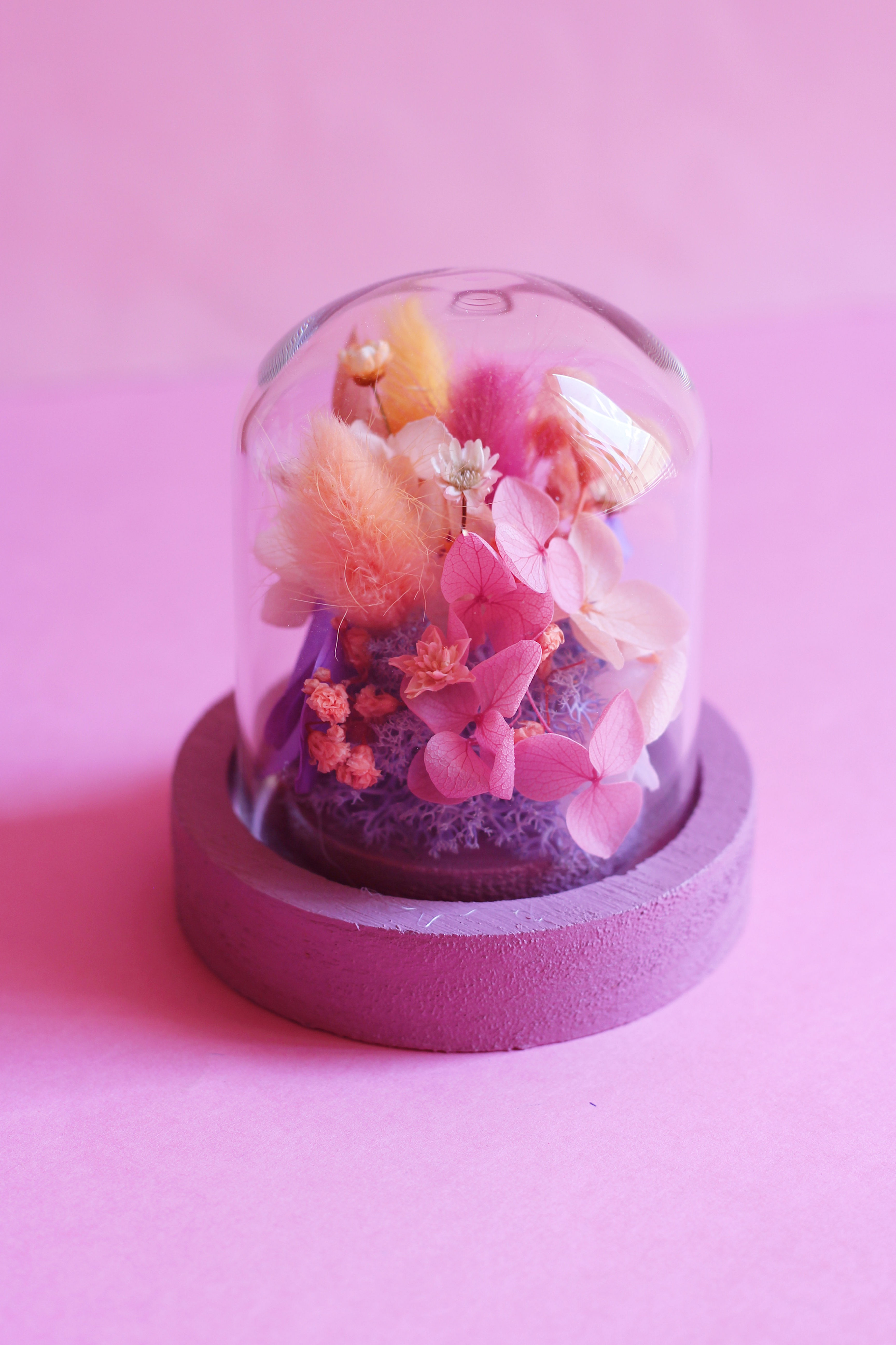 Mini cloche Pêche mauve