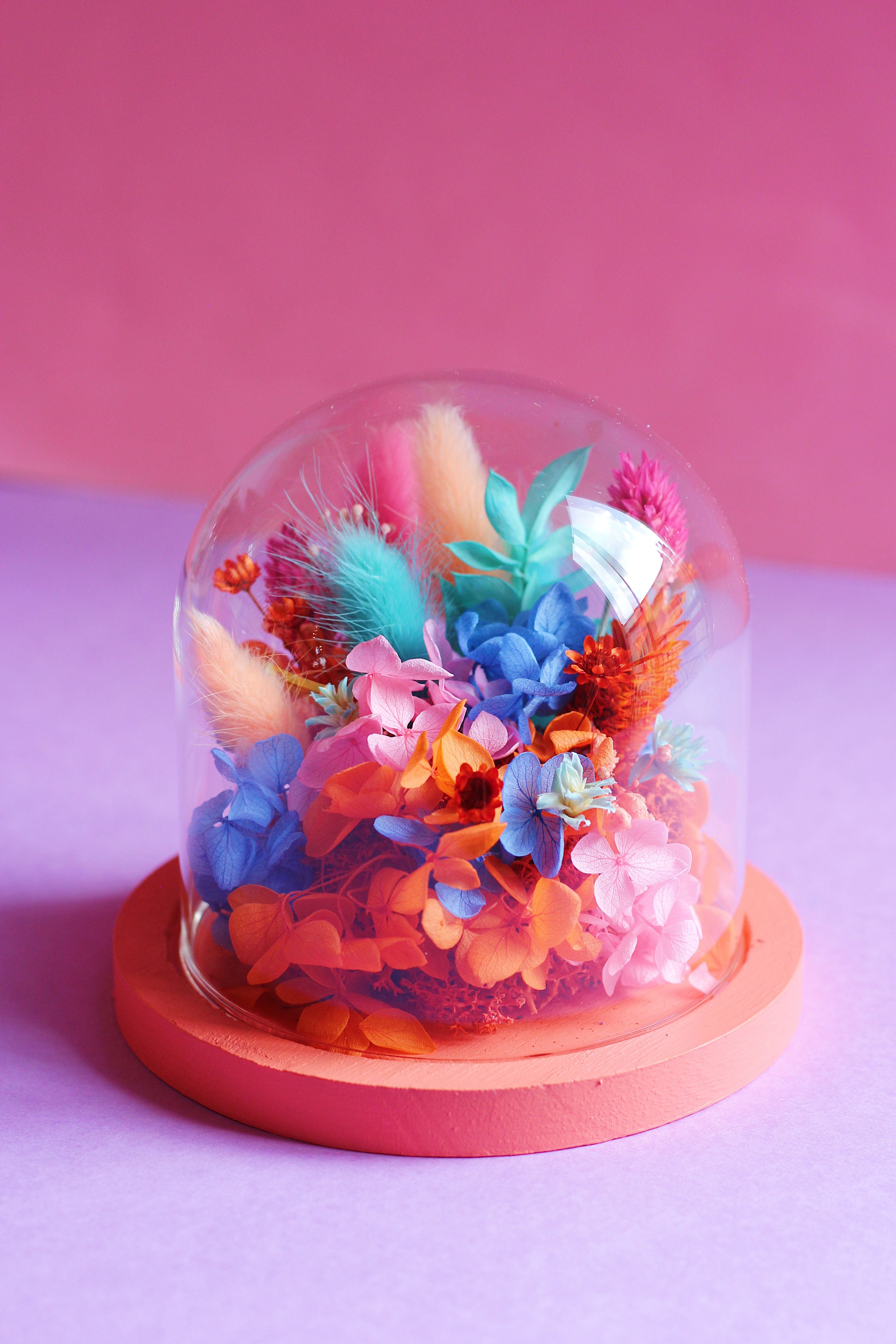 Petite cloche Melon rose