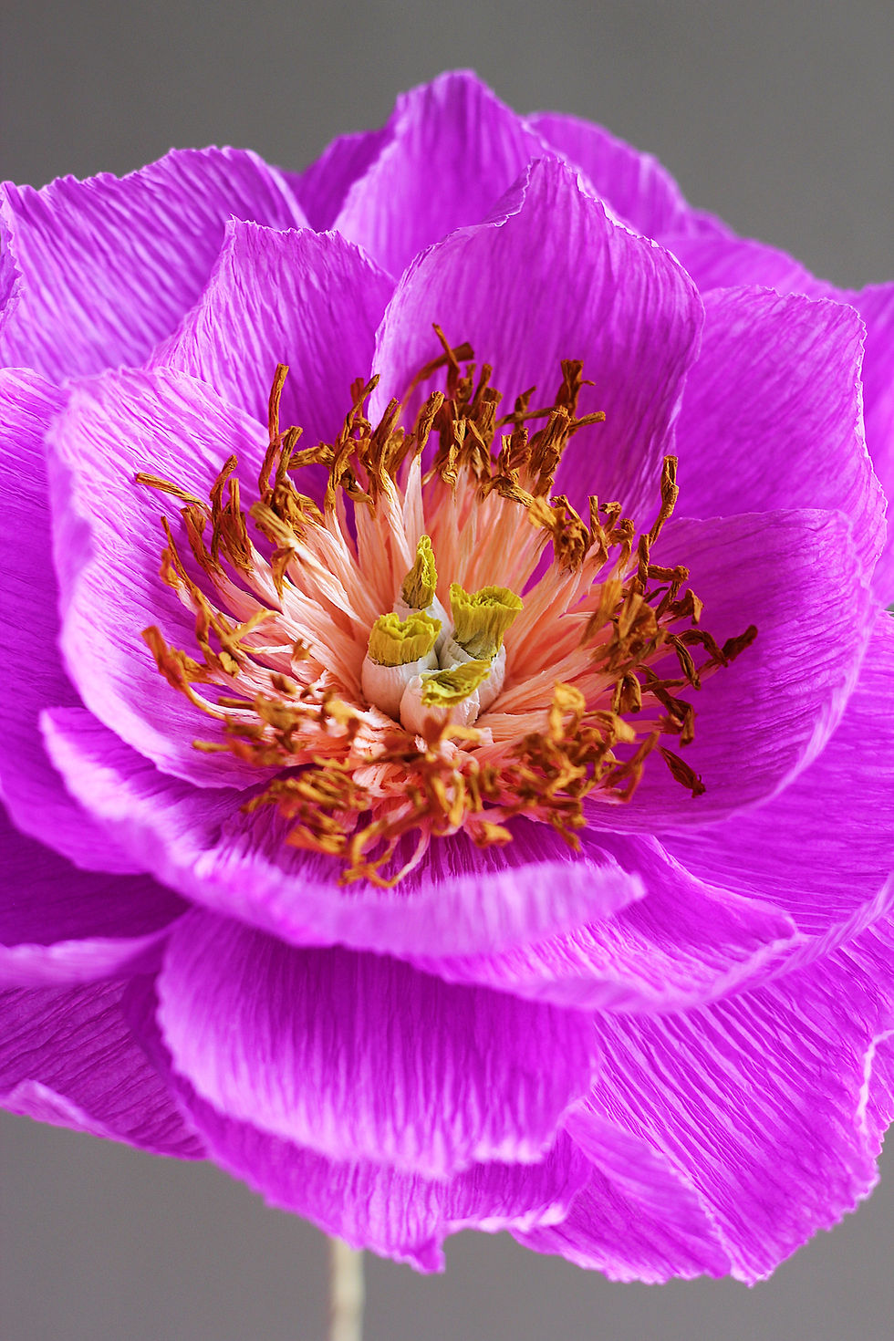 Miniature : Paeonia - Fleur en papier