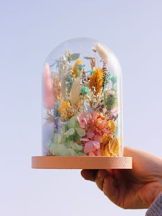 Un monde coloré en fleurs séchées sous une cloche de verre !