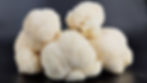 Lion's Mane Mushrooms