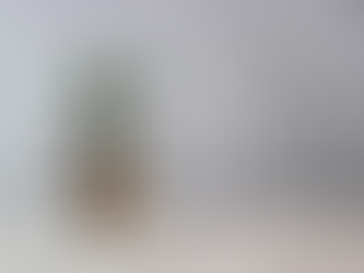 ESG Strategy & Value Proposition: Turning ESG from a Compliance Headache into a Competitive Advantage