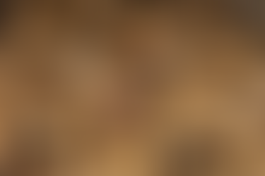 Pedrinhas recebe o título de ‘Capital Sergipana do Amendoim’